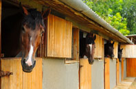 free Bempton stable construction quotes